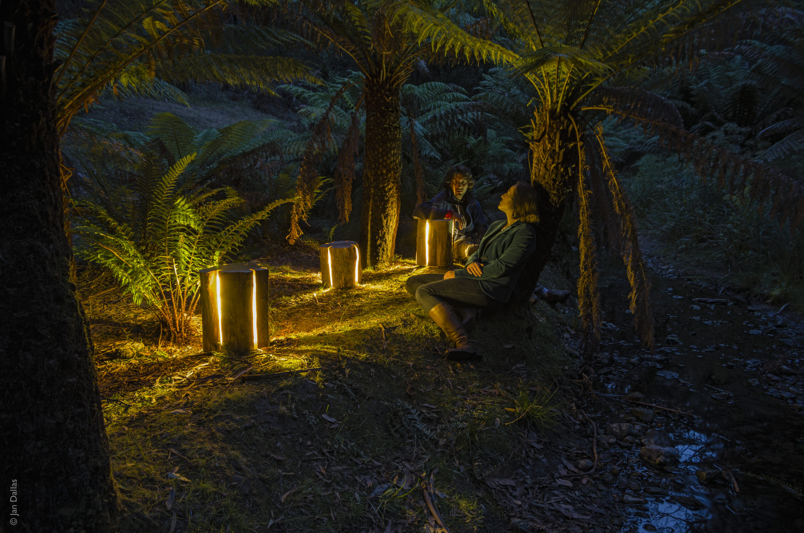 A man and a woman sit in a dark forest amongst large tree ferns. Light emanates from the cracks of three stumps of wood, creating an enchanting effect.