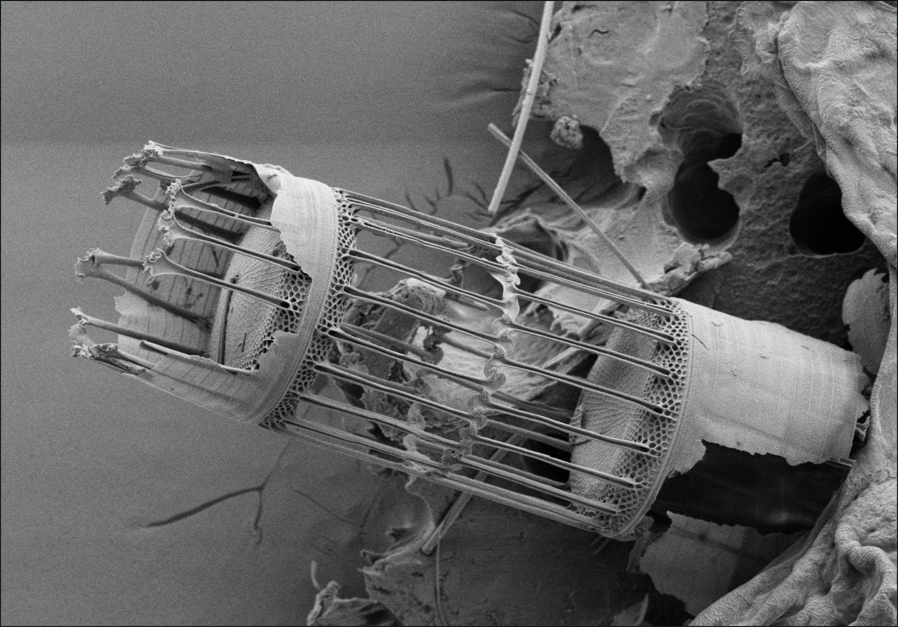 Science Photography Prize Beaker Street