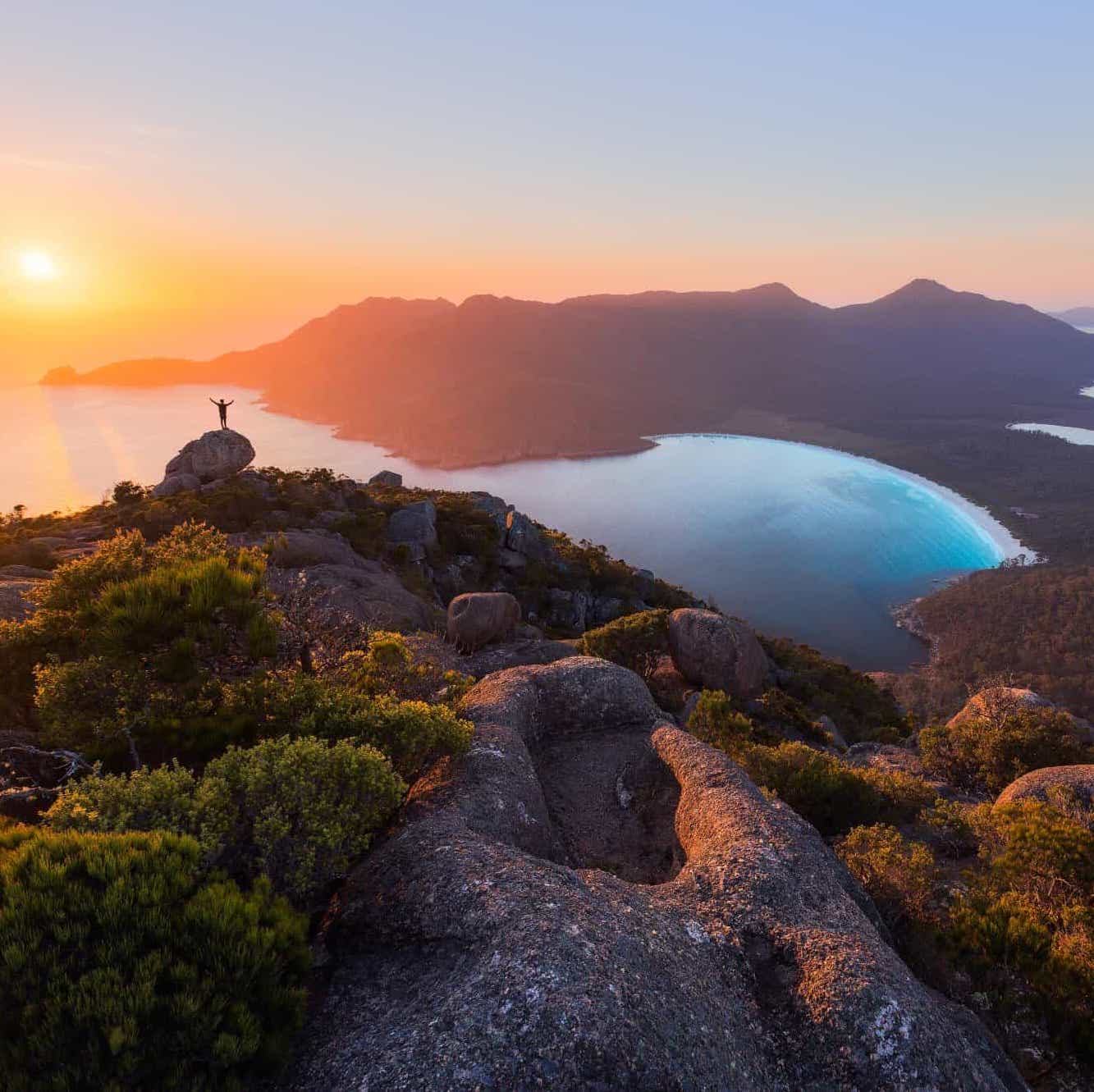 AS TASMANIA’S WATERS WARM, WHAT HAPPENS TO OUR MARINE SPECIES?